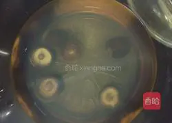 Illustration of homemade fermented bean curd 20