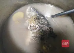 Illustration of how to make black bean crucian carp soup 18