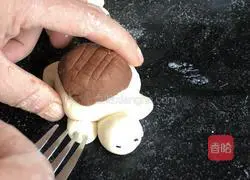 Illustration of how to make little turtle steamed buns 9