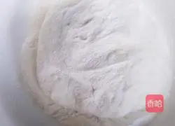 Illustration of homemade fire-roasted buns 5