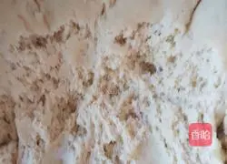 Scallions Illustration of making pancakes and dough pancakes 3