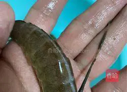 Illustration of how to make crispy prawns 2