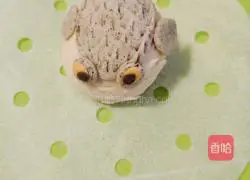 Illustration of how to make fat-headed fish steamed buns 12