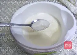 Illustration of how to make probiotic yogurt 5