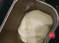 Pizza dough recipe 2