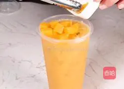 Passion Mango Lactic Acid Recipe Illustration 10