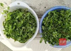 Shepherd's Purse Cai Illustration of how to make the box 2