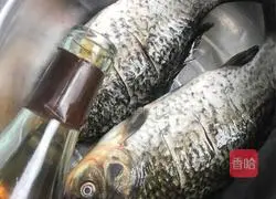 Illustration of how to make crucian carp tofu soup 2