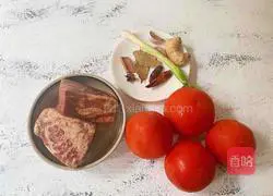 Illustration of tomato stewed beef brisket 1