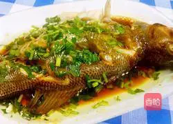 Illustration of steamed sea bass 11