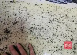 Illustration of how to make black sesame rolls 14