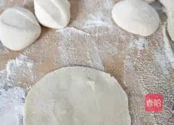 Illustration of how to make vegetarian shrimp dumplings 10