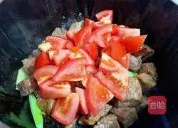 Illustration of tomato, beef brisket and potatoes stewed 12