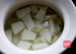 Winter Melon Pork Ribs Soup Recipe Illustration 9