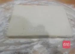 Illustration of how to make gold medal shredded radish cake 3 