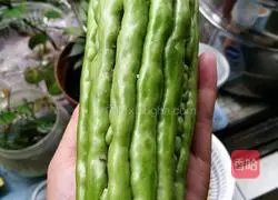 Bitter melon, soybean and pork bone soup recipe 2