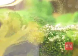 Broccoli Illustration of how to make tofu custard 3