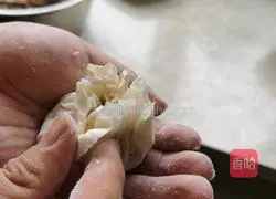 Beef Shaomai Recipe Illustration 9