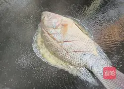 Illustration of how to make tofu and crucian carp soup 5