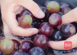 Wine brewing method illustration 2