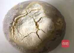 Illustration of how to make cornmeal steamed buns 2