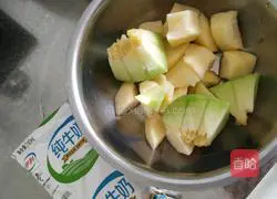 Apple and Cantaloupe Milkshake Recipe Illustration 1