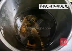 Illustration of how to stew sea cucumber 5