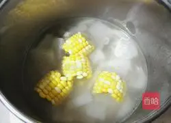 Winter Melon, Pork Ribs and Corn Soup Recipe Illustration 7