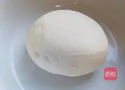 Xinwen Gourmet Butterfly Steamed Dumplings Illustration 2