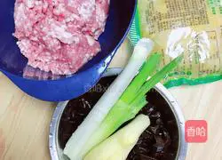 Illustration of Northeastern Sauerkraut and Pork Dumplings (Lazy Man Kuaishou Version) 1