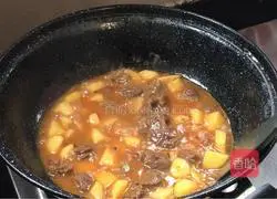 Illustration of braised beef and potatoes 7