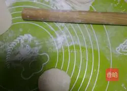 Illustration of hand-made steamed dumplings 1