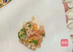 Illustration of how to make carrot and pork wontons 8