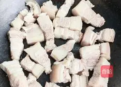 Illustration of Braised Pork 4