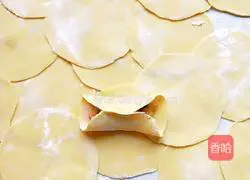 Illustration of how to make handmade dumplings 11 
