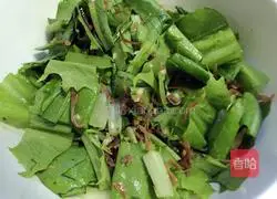 Cold lettuce recipe 10