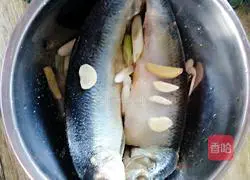 Balancer in tomato sauce Illustration of how to cook fish 2