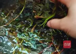 How to make toon scrambled eggs Illustration 4