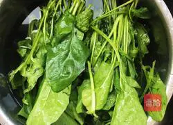 Cold Spinach Vermicelli Recipe Illustration 1