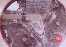  Illustration of how to make mulberry and leek dumplings 4