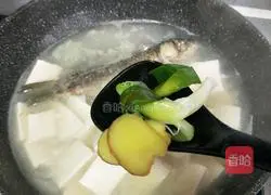 Illustration of how to make crucian carp tofu soup 12
