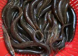 Wolfberry Illustration of how to make loach soup 1