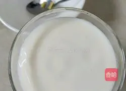 Illustration of how to make mango yogurt potted plants 7