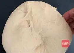 Tangzhong Raisin Toast Recipe Illustration 8