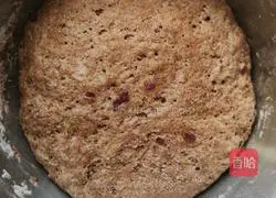Whole wheat Illustration of how to make bread 5