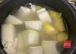 Winter Melon, Potato and Spare Ribs Soup Recipe Illustration 7