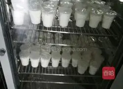 Illustration of homemade yogurt 4