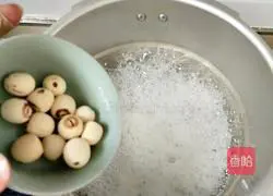 Illustration of how to make Sydney Tremella Soup 5