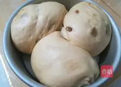 Illustration of how to make raisin hand-torn bread 15