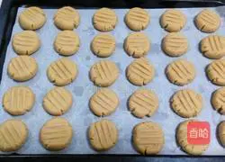 Peanut Butter Cookies Recipe Illustration 8